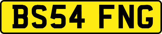 BS54FNG