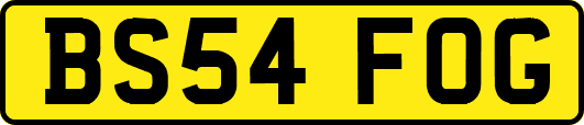 BS54FOG