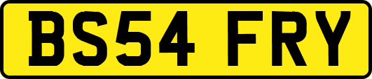 BS54FRY