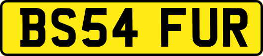 BS54FUR