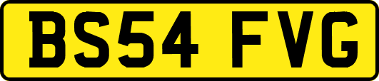 BS54FVG