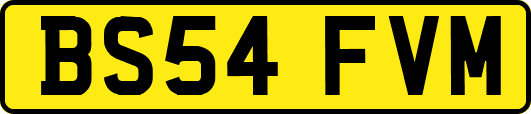 BS54FVM