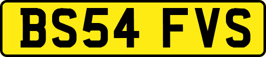 BS54FVS