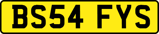 BS54FYS