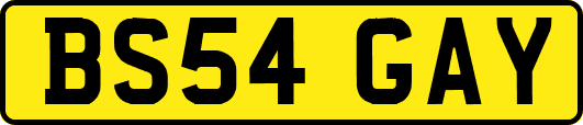 BS54GAY