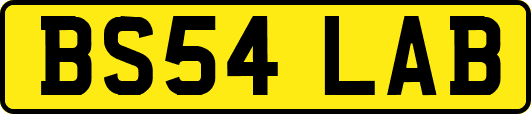 BS54LAB