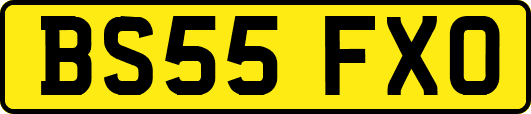 BS55FXO