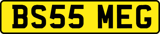 BS55MEG