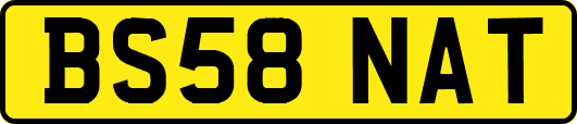 BS58NAT