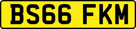 BS66FKM