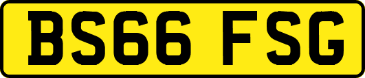 BS66FSG