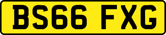 BS66FXG