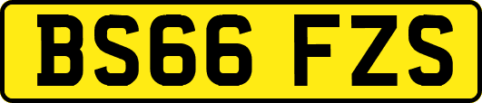 BS66FZS