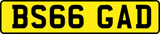 BS66GAD