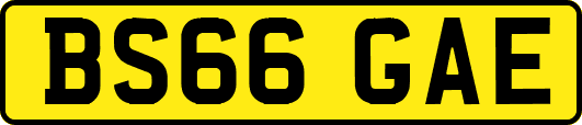 BS66GAE