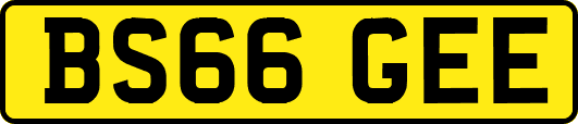 BS66GEE