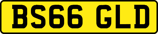 BS66GLD