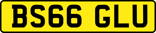 BS66GLU