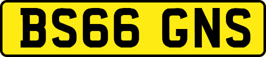 BS66GNS