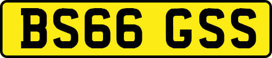 BS66GSS
