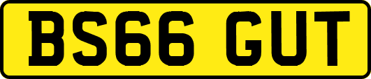 BS66GUT