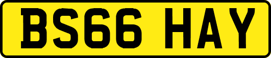 BS66HAY