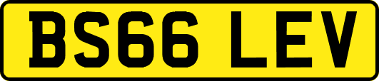 BS66LEV