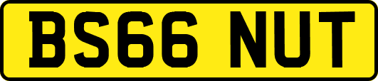 BS66NUT