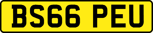 BS66PEU