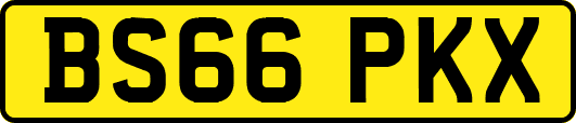 BS66PKX