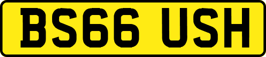 BS66USH