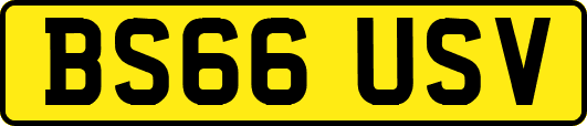 BS66USV