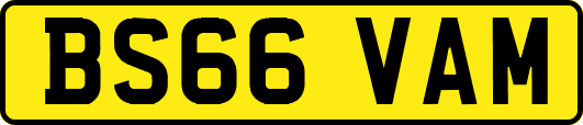 BS66VAM
