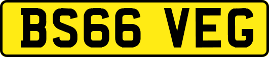 BS66VEG