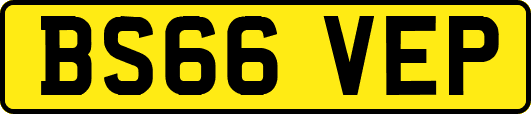BS66VEP