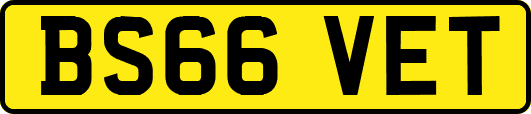 BS66VET