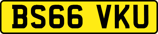 BS66VKU