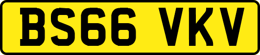 BS66VKV
