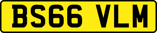 BS66VLM