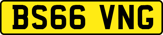 BS66VNG