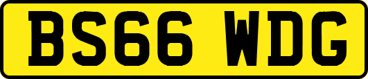 BS66WDG