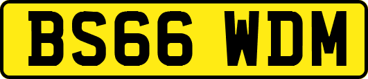 BS66WDM