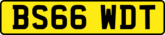 BS66WDT