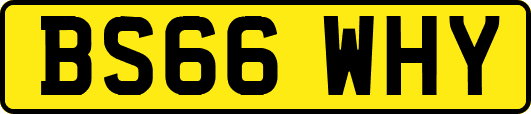 BS66WHY