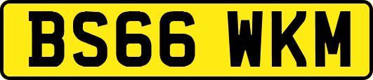 BS66WKM