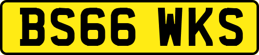 BS66WKS