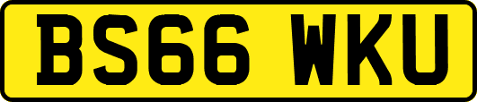 BS66WKU