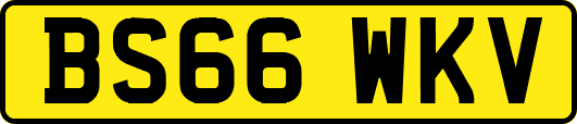 BS66WKV