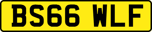 BS66WLF