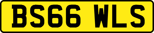BS66WLS